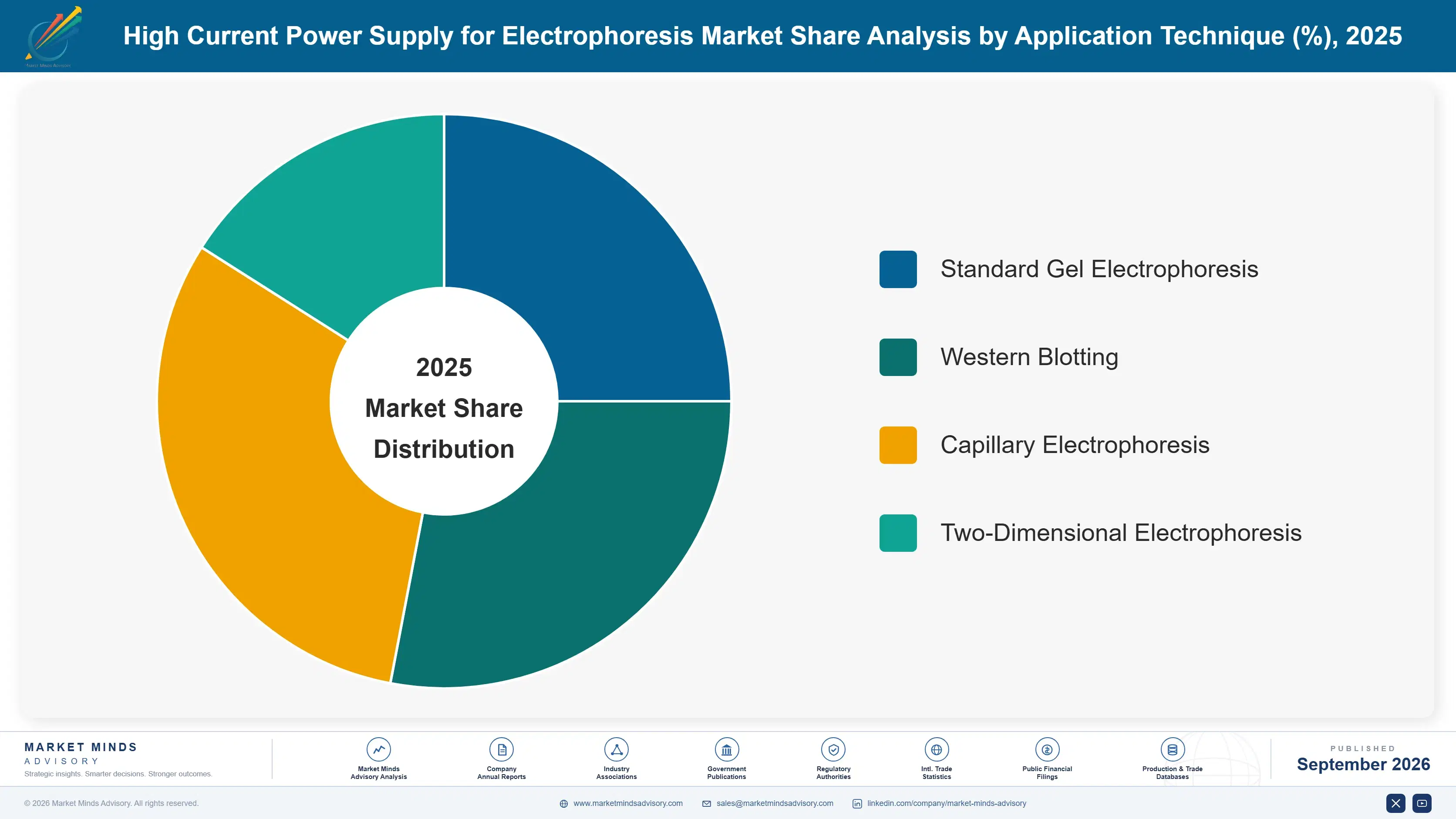 high-current-power-supply-for-electrophoresis-mark-market-share-analysis-1788235615068